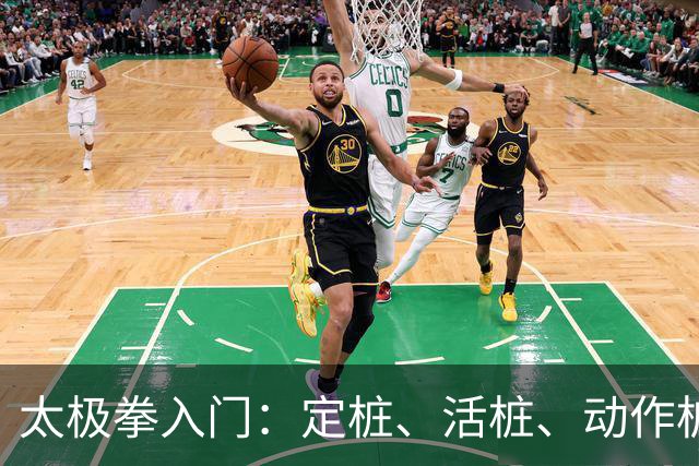 太极拳入门：定桩、活桩、动作桩——筑牢根基的三大桩法